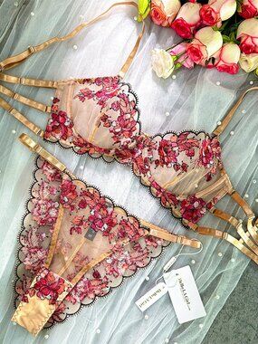 Sheer Floral Embroidered Underwire Bra & Thong Set - Pink with Gold Accents